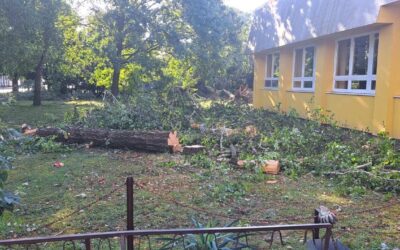 Posljedice olujnog nevremena na krovištima škola i okoliša