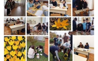 Projekt Priča o dječaku